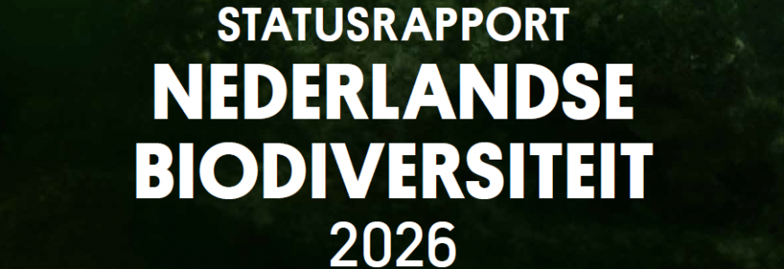 Statusrapport Nederlandse Biodiversiteit 2026