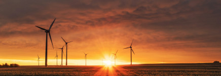 Klimaatverandering merk je ook op je volkstuin