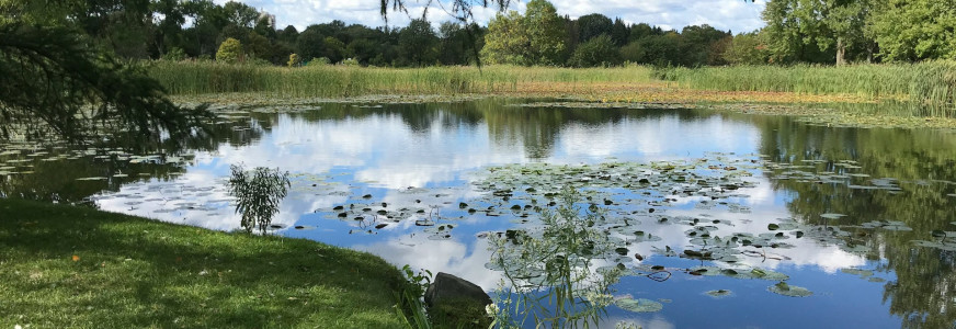 Provincie Gelderland stelt € 8,5 miljoen beschikbaar voor biodiversiteit en landschap