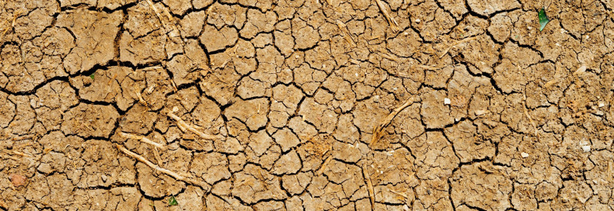 Waarom een gezonde bodem water beter vasthoudt