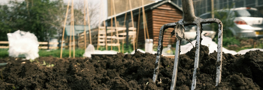 De volkstuin als vakantie in eigen stad