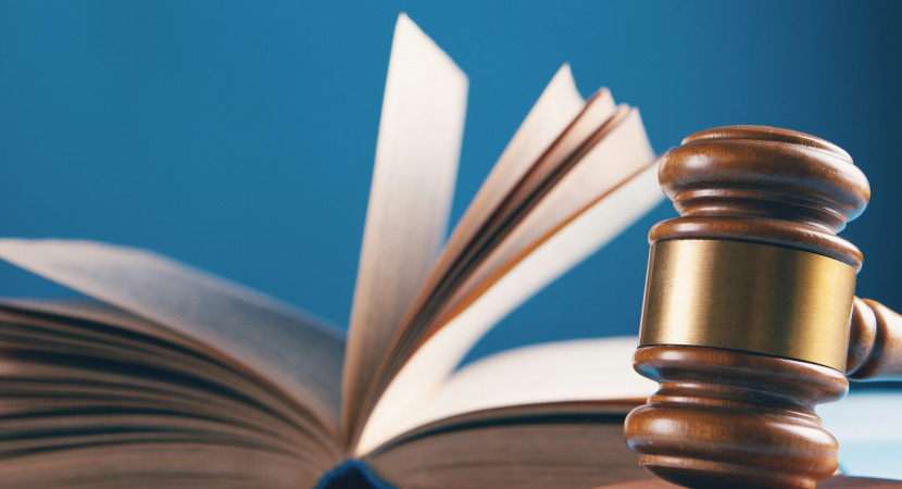 Wetten en regels voor een vereniging (Aansprakelijkheid, Arbeid, AVG, Huur, Integriteit, Omgevingsrecht)