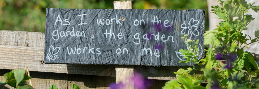 Kleine geluksmomentjes op de tuin