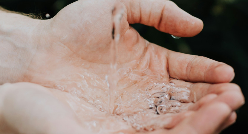 Webinar: Samen werken aan schoon oppervlaktewater op de volkstuin
