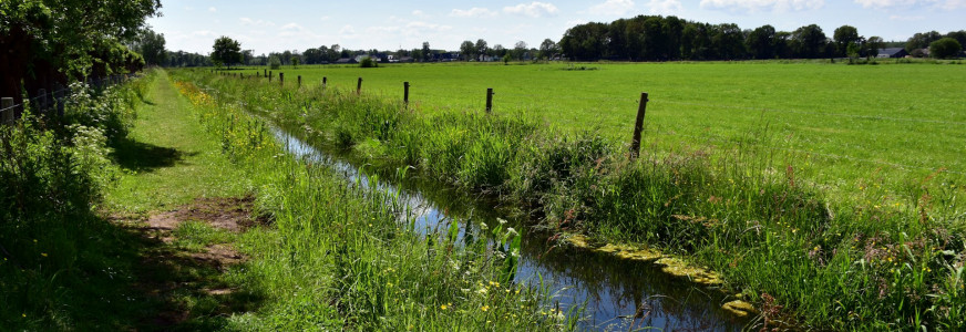 Slootonderhoud: moet alle begroeiing worden verwijderd?