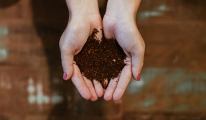 Bodem & Compost
